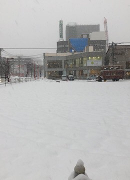 雪の後