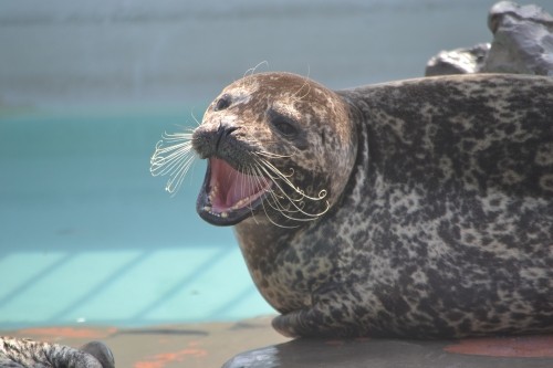 すごく気になる