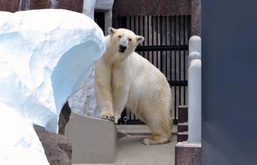 上野動物園