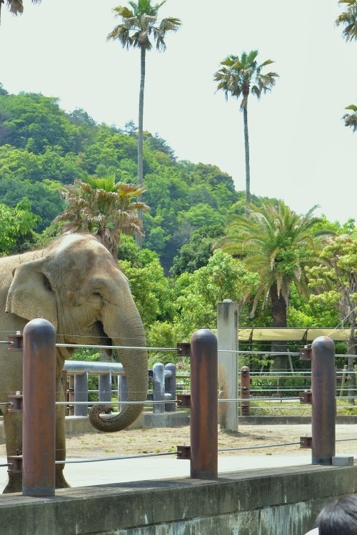 とくしま動物園