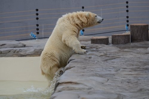 今日も仲良く