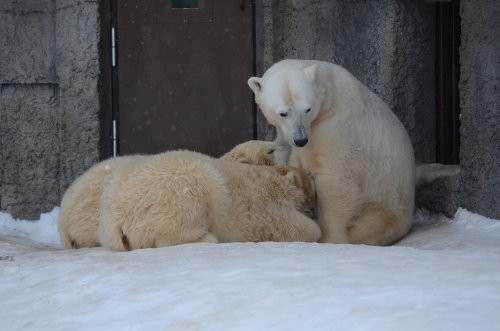 天気が良かった日