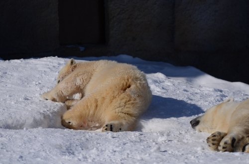 おもちゃがなくても