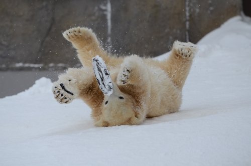 元気に遊ぶ