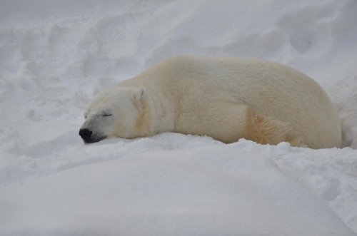 キャンディとお宝