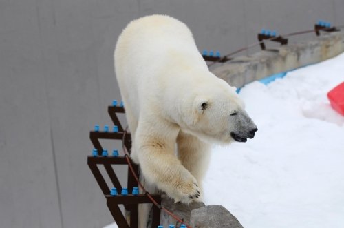 春の手前