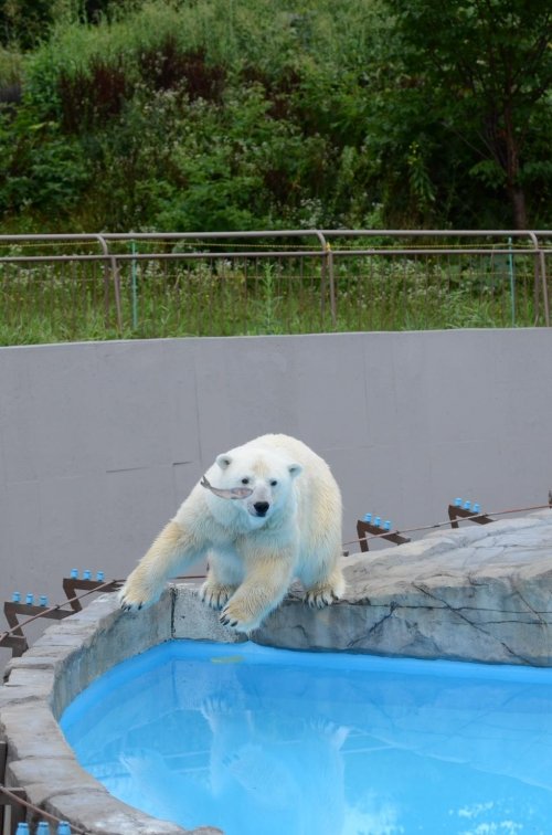 暑さ落ち着く