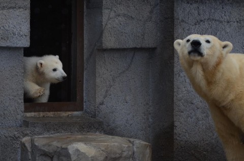 たまらない光景