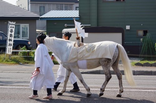 お馬さんしか・・・・・