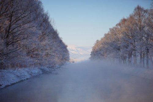 時間がなく・・・