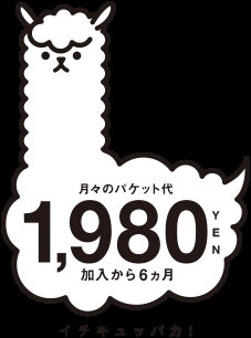 イチキュッパカ！月々のパケット代が１９８０円