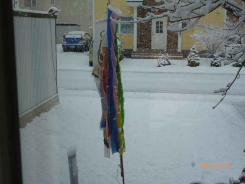 連休最終日、まさかの雪！！