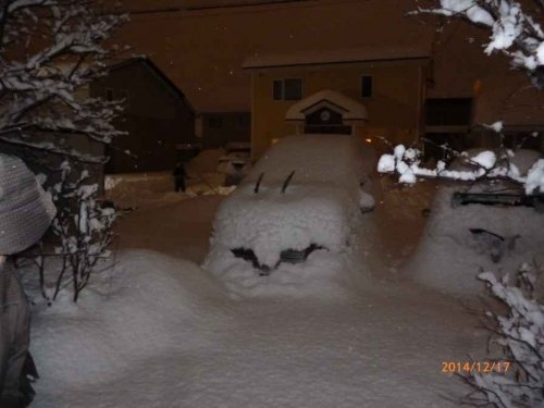 週末のいろいろ。そして筋肉痛・・・。