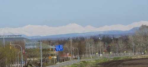 山菜の生育状況は…？