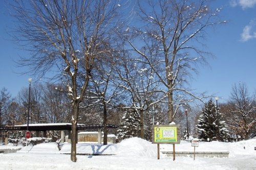 帯広市内の様子…中央公園