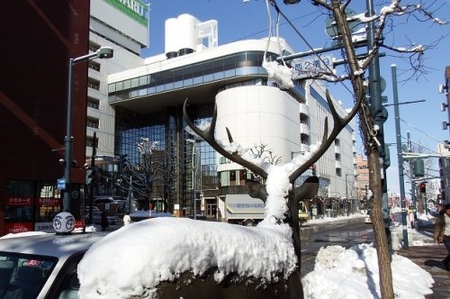 帯広市内の様子…雪降り後の西２条通り