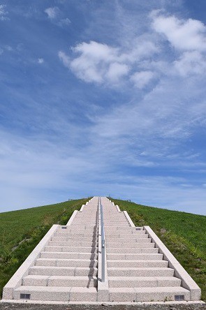 帯広の森に築山が出現～♪