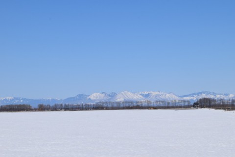 カメラスケッチ・音更町