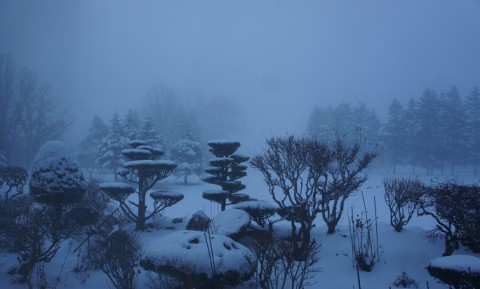 濃霧の冬景色