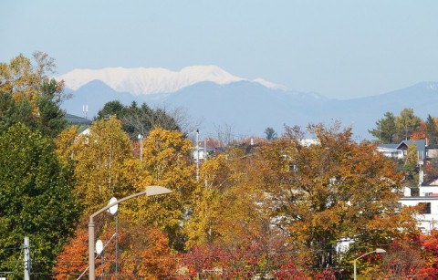 カメラスケッチ・音更町の紅葉