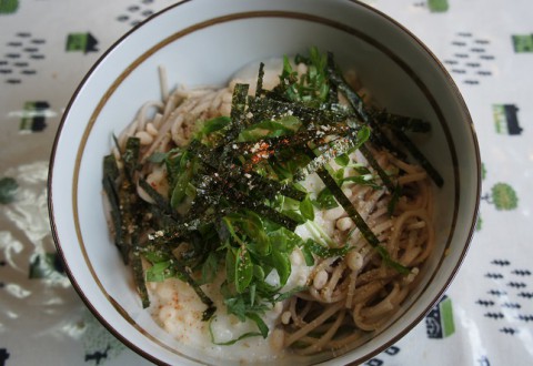 食いしん坊主庵の冷やしとろろたぬきそば