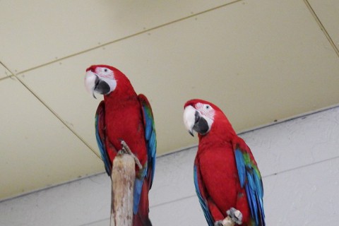 久々のおびひろ動物園～♪