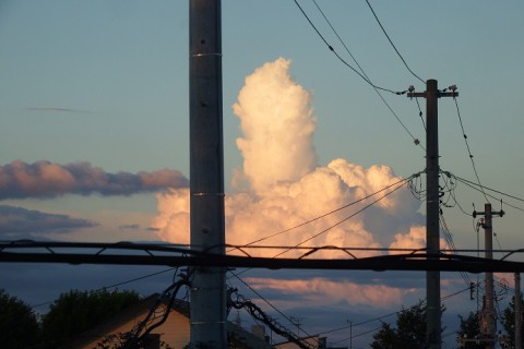 久しぶりの青空～♪