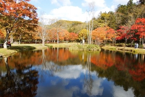 福原山荘の紅葉