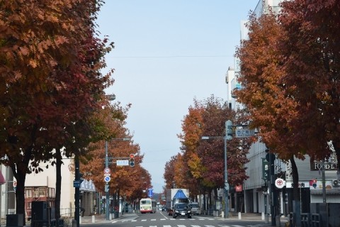 西2条通りの紅葉～♪