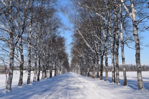 帯広市内の積雪は14㎝