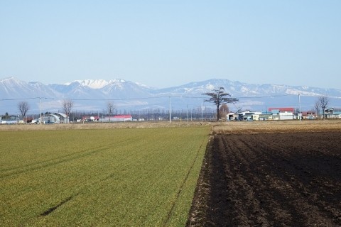 カメラスケッチ・音更町