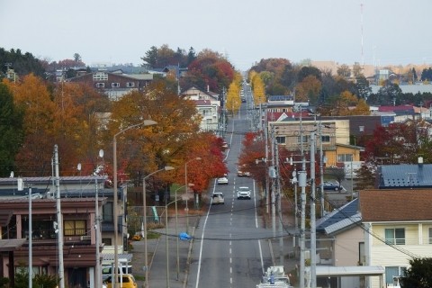 カメラスケッチ・音更町の紅葉