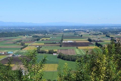 新嵐山スカイパーク展望台～♪