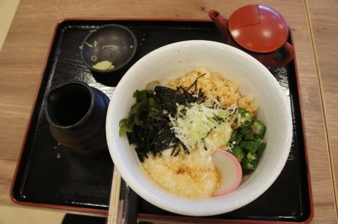 幌加内製麺ダイイチみなみ野店さんの冷やしたぬき