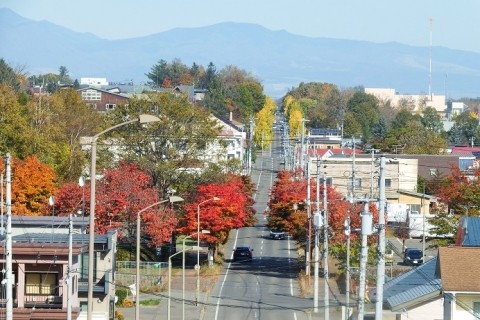 お気に入りの紅葉スポット～♪