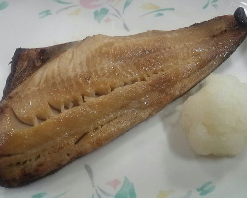 今日の晩御飯