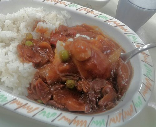 今日の晩御飯