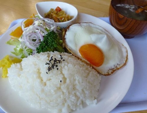 今日のお昼ごはん