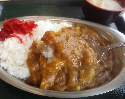 今日のお昼ごはん