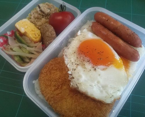 男の手弁当