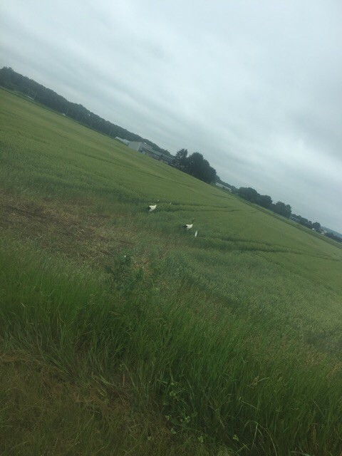 幸運の釣行