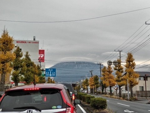 静岡名物 さわやかのげんこつハンバーグ