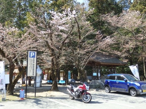 穂高神社からペレファカフェ