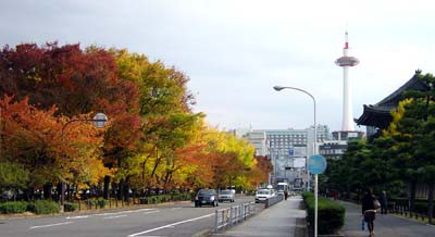 京都で施術おこなってます