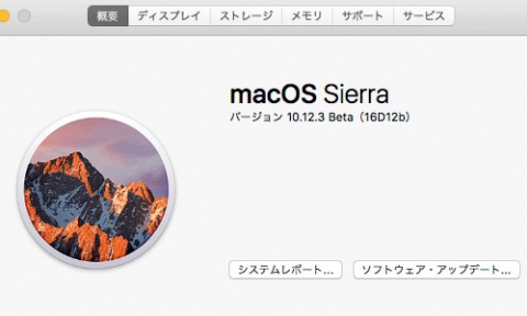 ブログ更新サボってました。