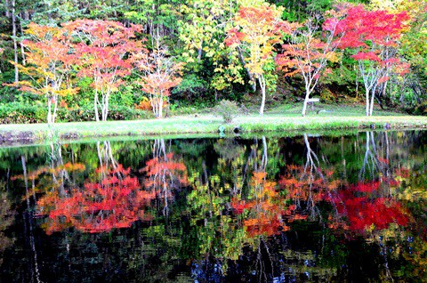 ♪ とかち紅葉…最前線 ♪　　福原山荘/鹿追町