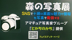 コラボ写真展を開催しま～～す。 ・7月28日(土)帯広市緑ヶ丘公園にて