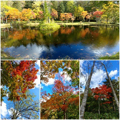 福原山荘(鹿追町)も いい感じに・・・10/3.am