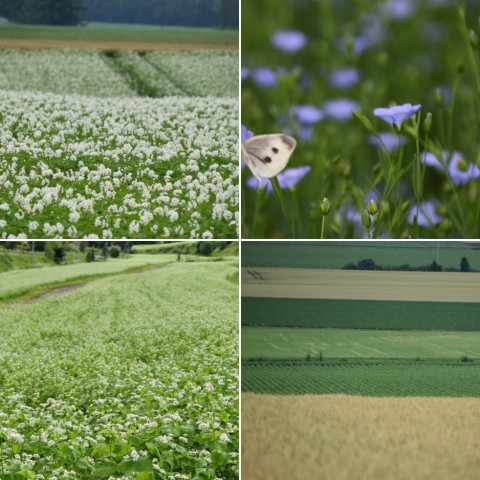 2020を写真4枚で振り返る～～⑨