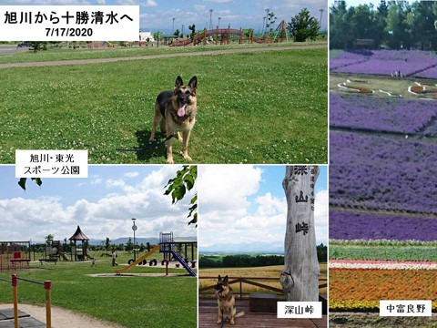 花人街道　273/38号　旭川～富良野～狩勝～清水